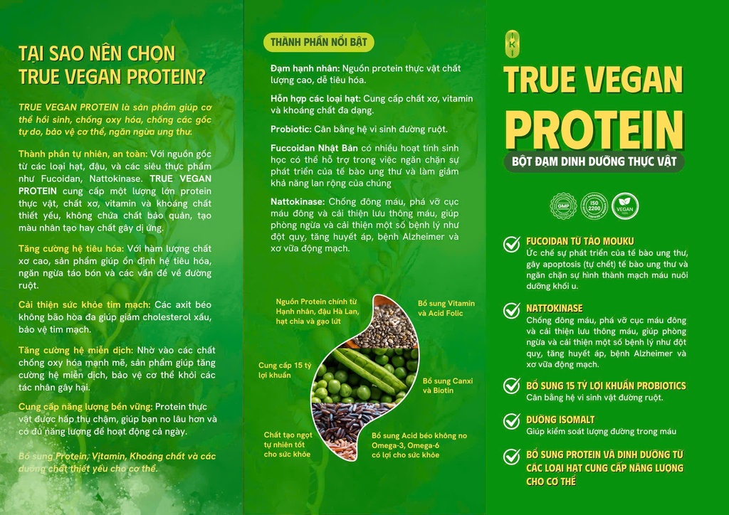 TRUE VEGAN PROTEIN Bột Protein thực vật 500g