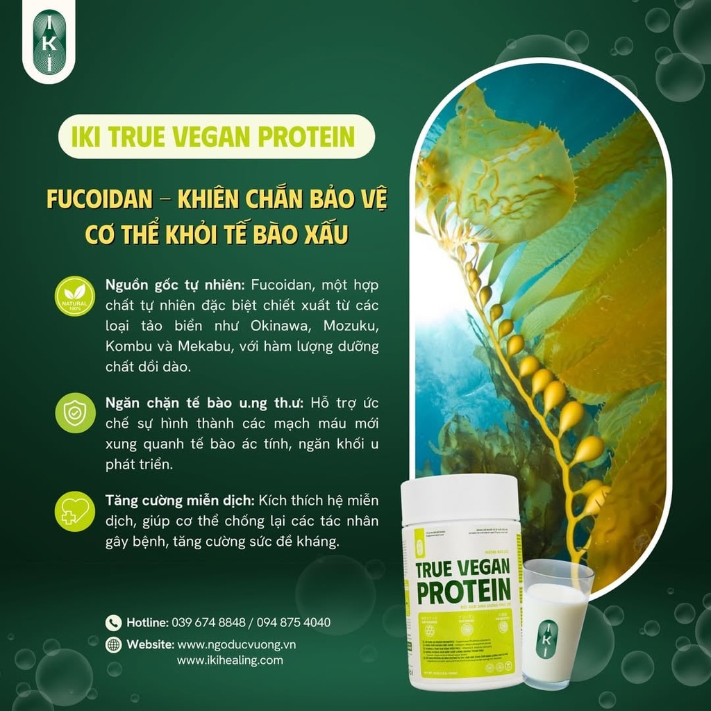 TRUE VEGAN PROTEIN Bột Protein thực vật 500g