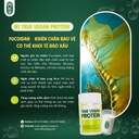 TRUE VEGAN PROTEIN Bột Protein thực vật 500g