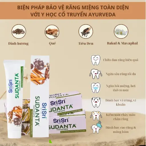 Kem đánh răng thuần chay Sri Sri Ấn Độ